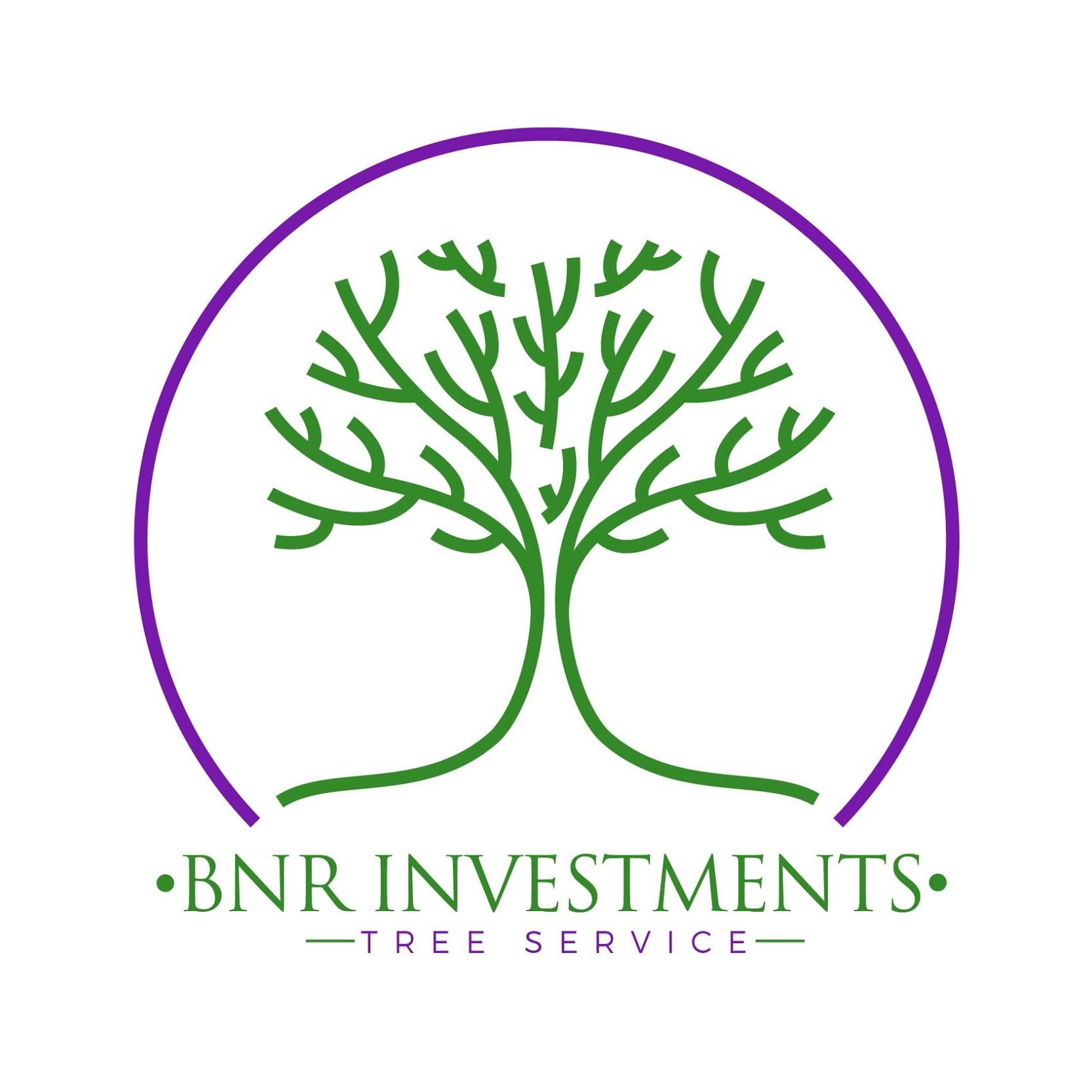 BNR Investments Tree Service