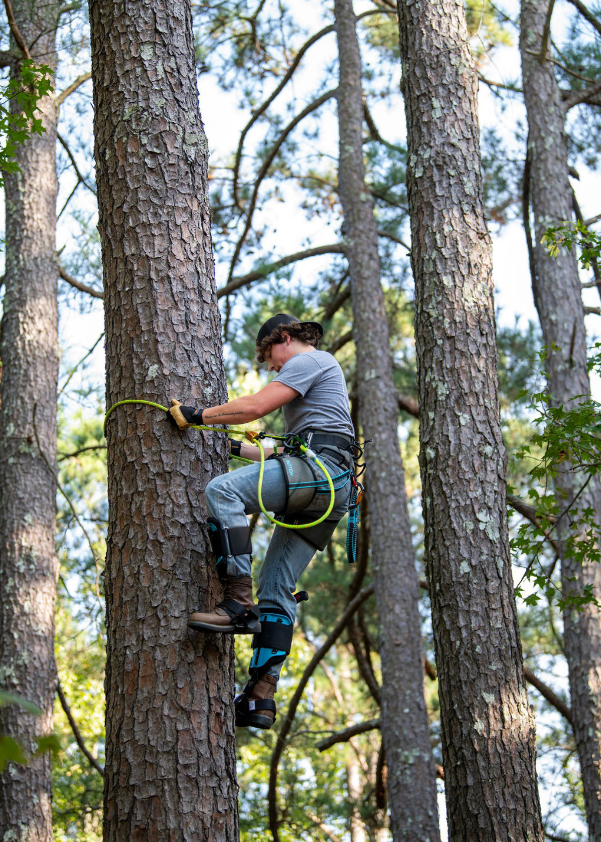 BNR Tree Service crew at work